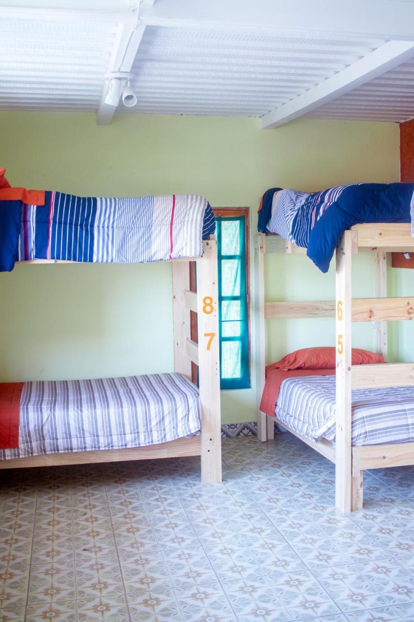 Hostal Valle Mistral 拉塞雷纳 外观 照片