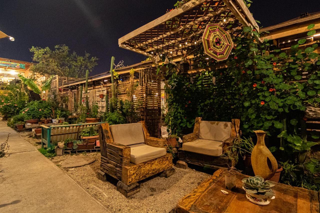 Hostal Valle Mistral 拉塞雷纳 外观 照片