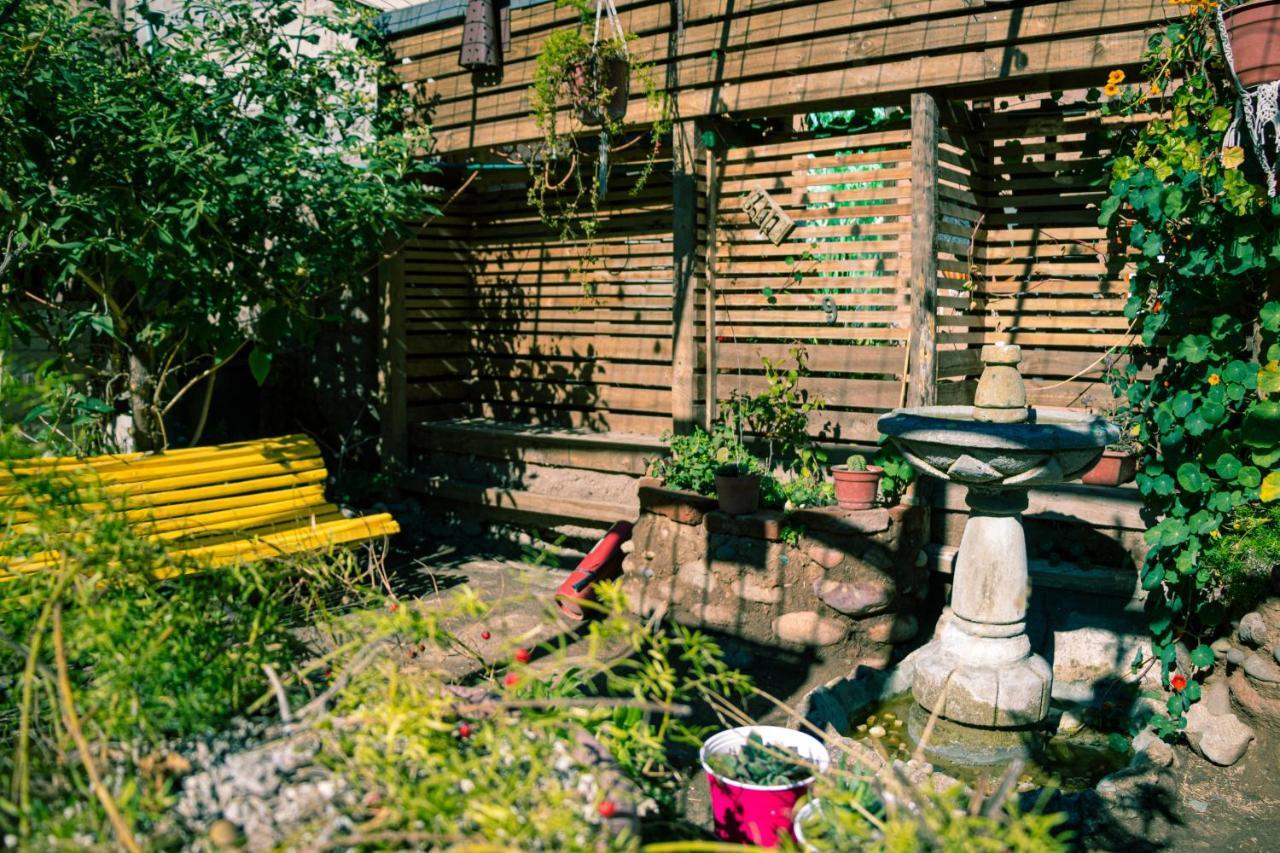 Hostal Valle Mistral 拉塞雷纳 外观 照片
