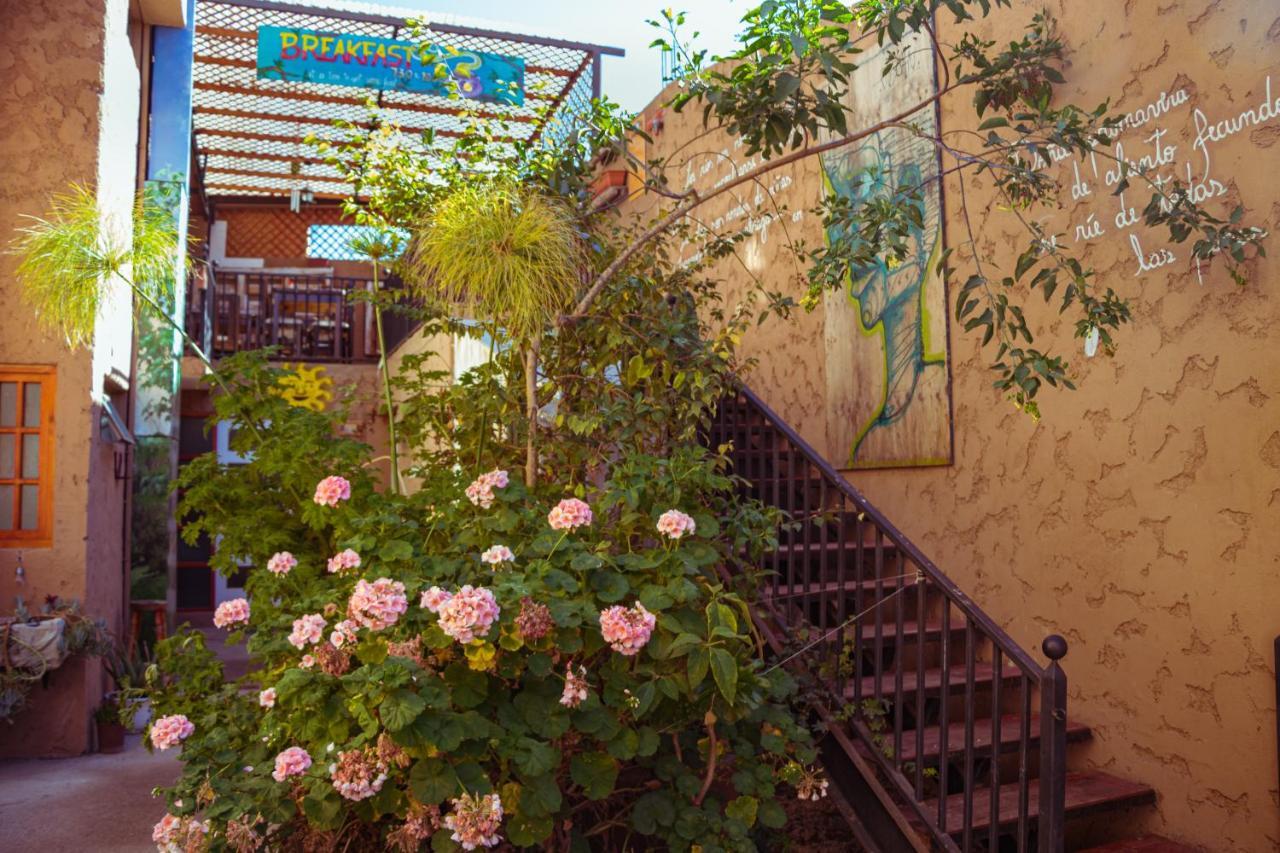Hostal Valle Mistral 拉塞雷纳 外观 照片